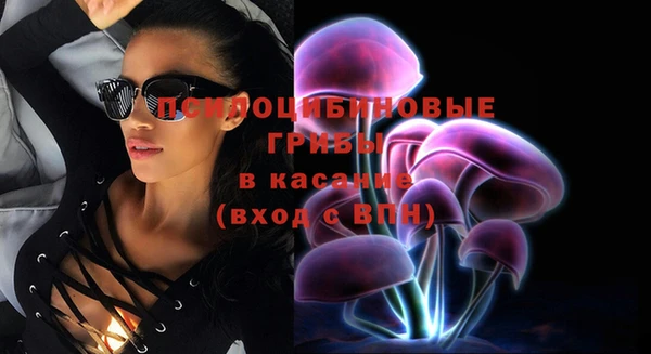 спиды Няндома