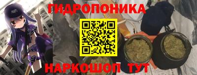 эйфоретик Бийск
