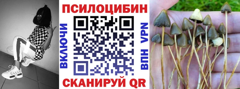 где можно купить наркотик  Павлово  Галлюциногенные грибы Cubensis 
