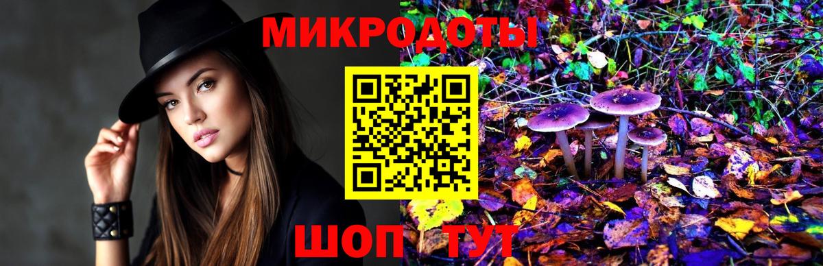 Псилоцибиновые грибы Psilocybe  Вход с VPN  Галлюциногенные грибы GOLDEN TEACHER  Павлово 